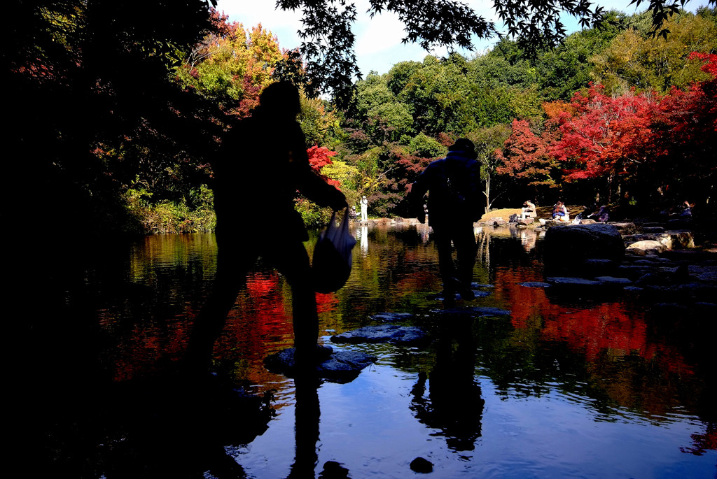 危険な二人・紅葉