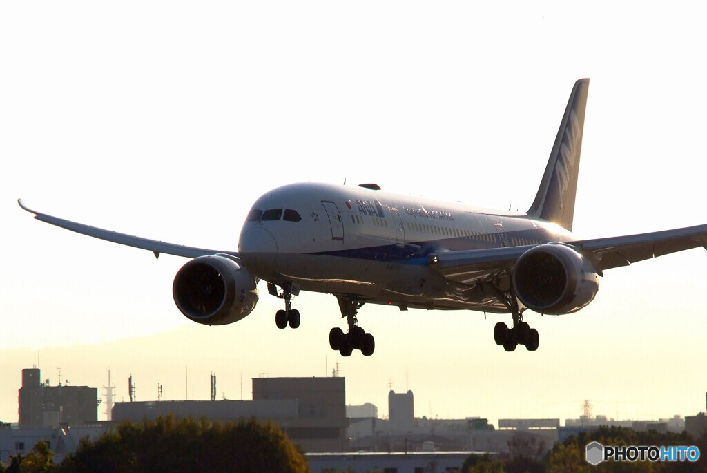 Gift for you✈Dreamliner787