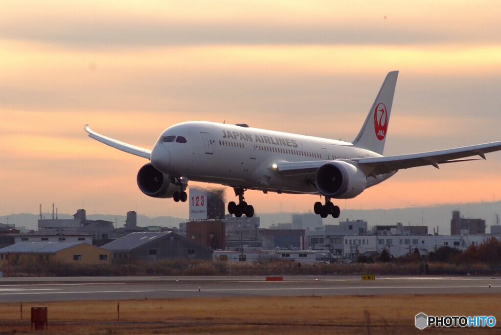 伊丹の翼✈Boeing 787-8