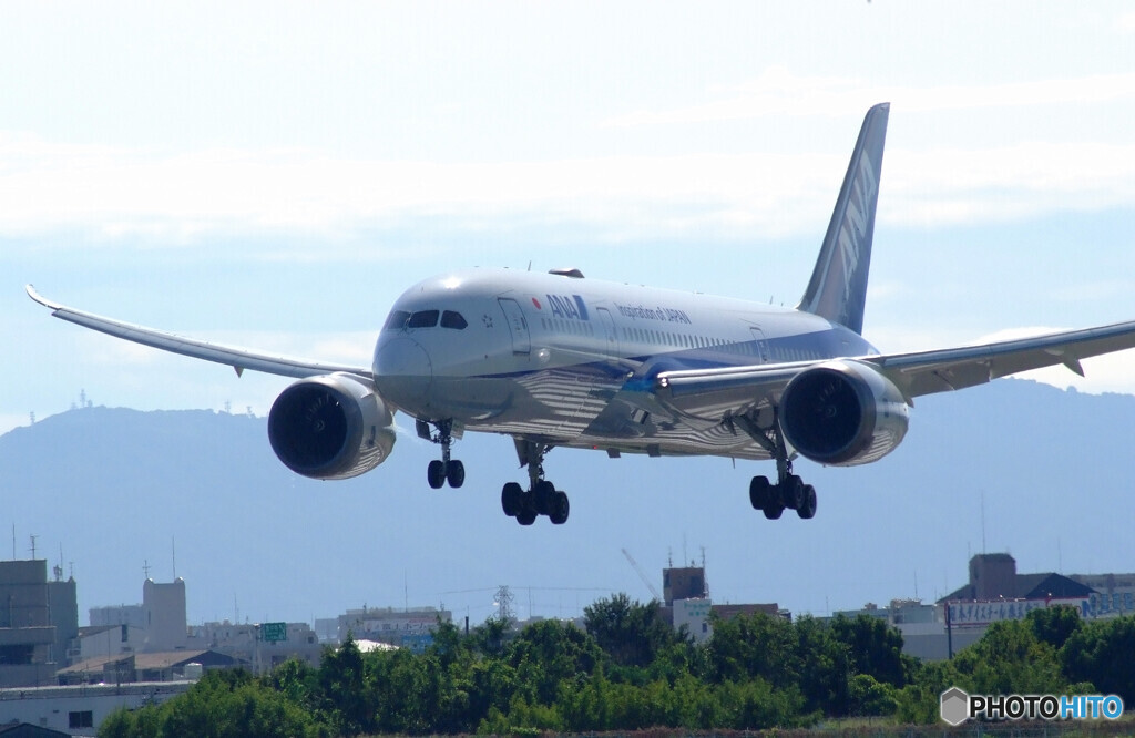 Sunday morningⅧ✈Boeing787-8