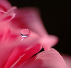 11月の惑星・雫（Ⅲ）