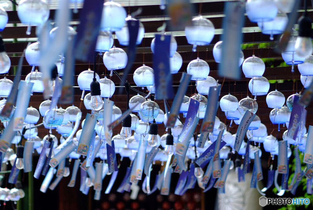 涼やかに♪水無瀬神宮