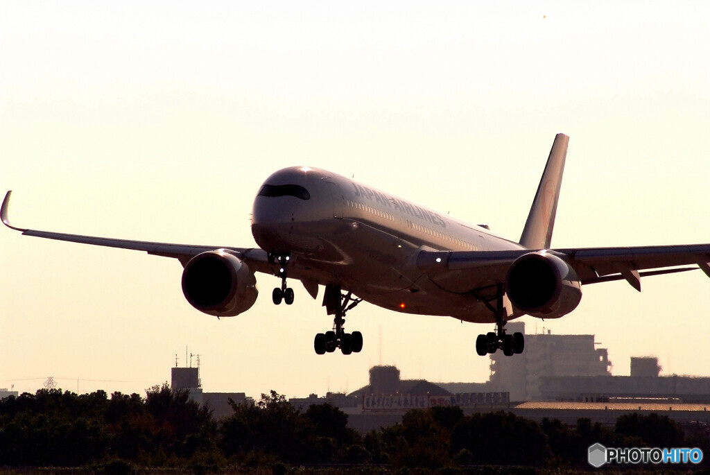 俺の翼✈A350-900