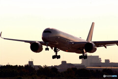 俺の翼✈A350-900