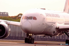 行くぞ！Boeing 787-8 Dreamliner 