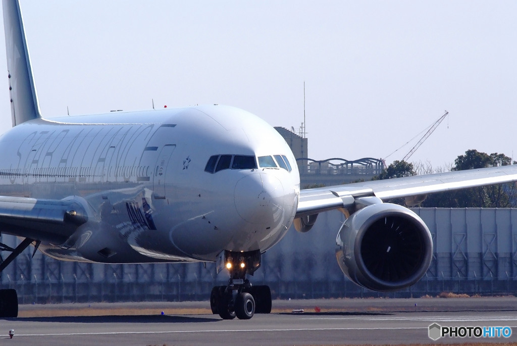 愛しき・Star Alliance 