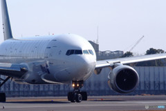 愛しき・Star Alliance  愛しき・Star Alliance