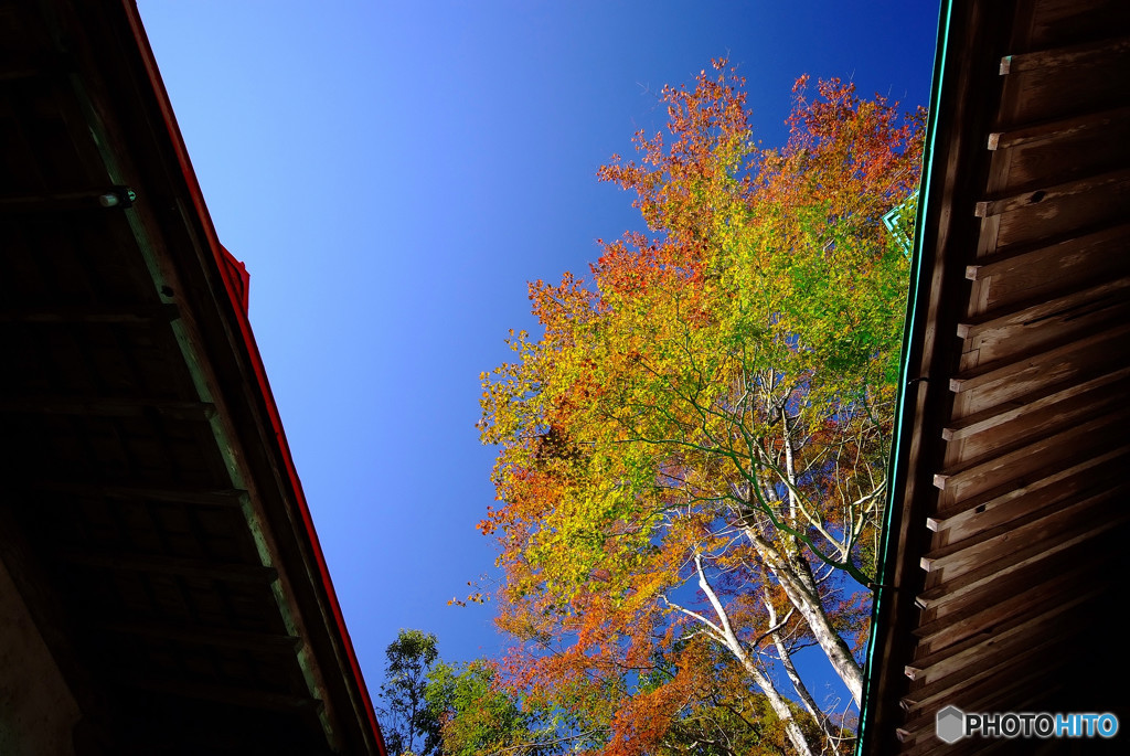 そうだ・勝尾寺に行こう！（Ⅰ）