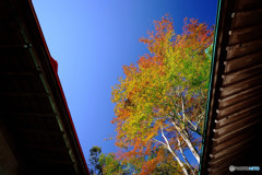 そうだ・勝尾寺に行こう！（Ⅰ）