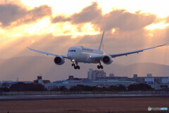 光芒✈Boeing 787-8 Dreamliner 