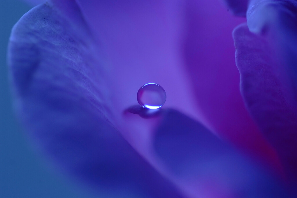 瞳に恋して✿雨月の午後