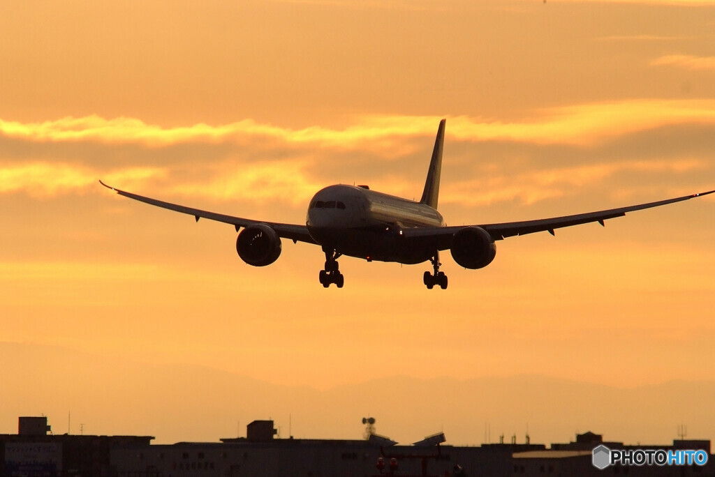 Autumn Leaves✈翼