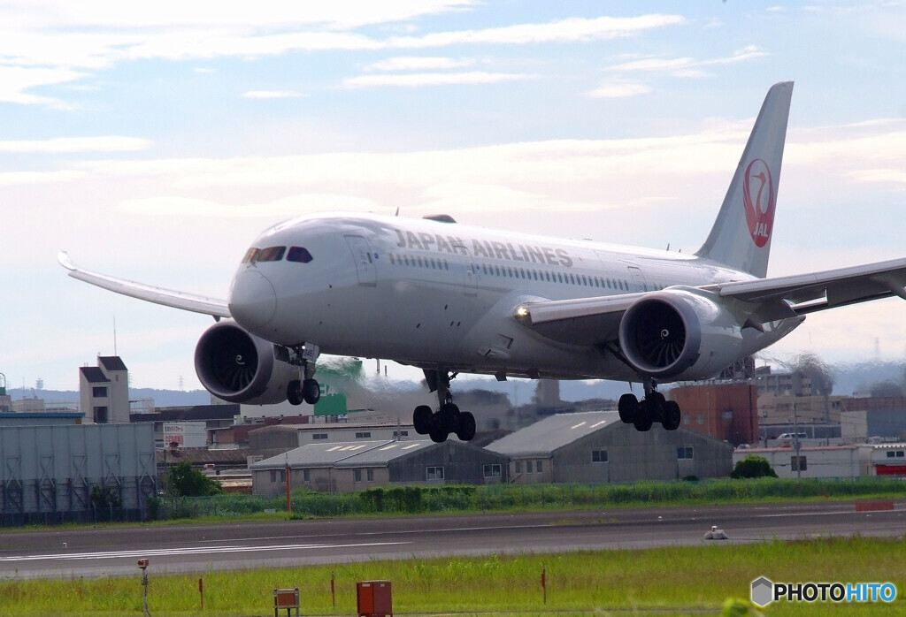 August Wings✈JAL