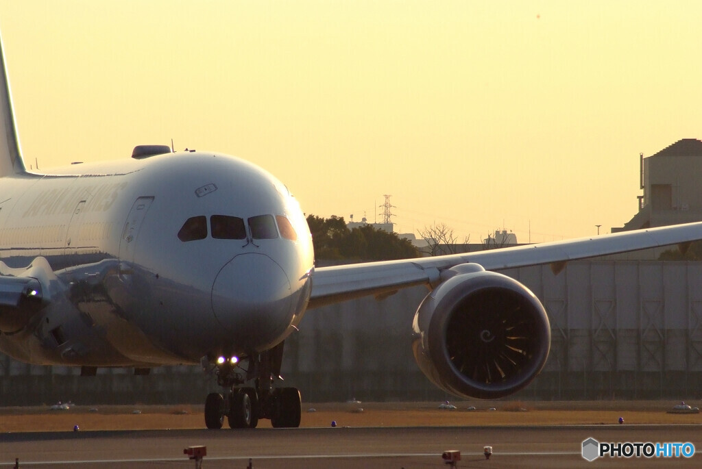 会いにいこうⅡ✈Boeing787-8