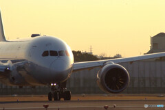 会いにいこうⅡ✈Boeing787-8