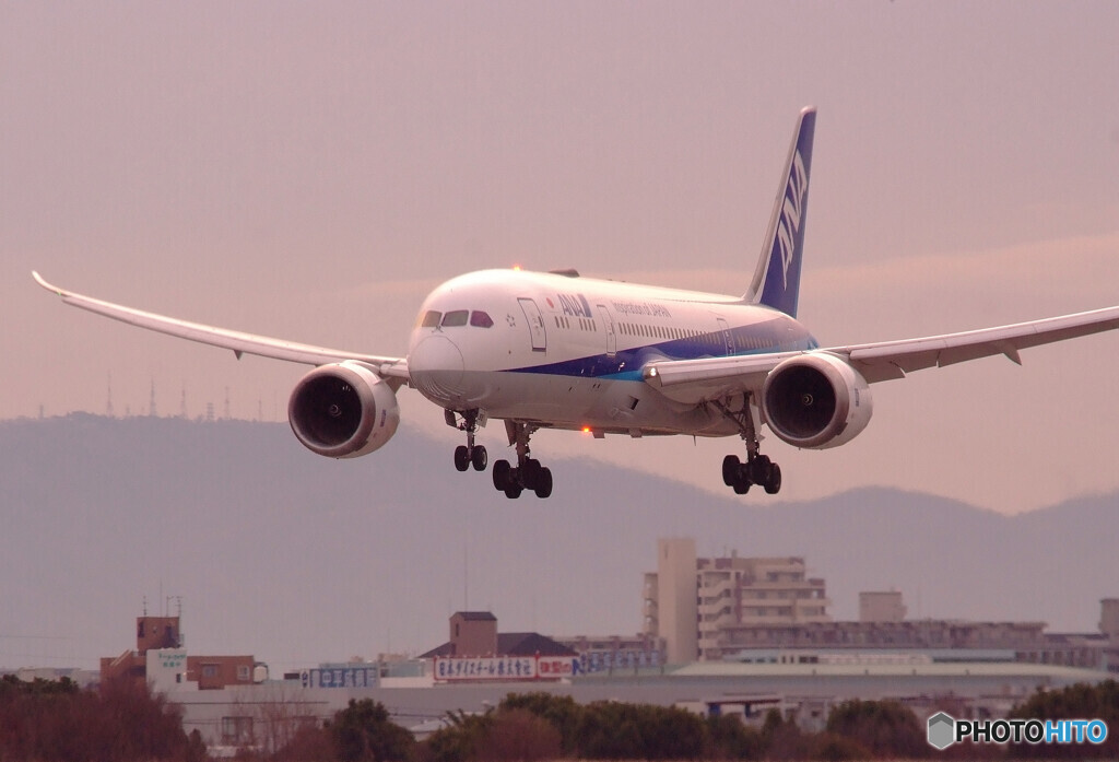 希望の道へ✈ＡＮＡ