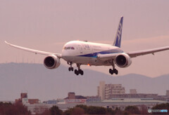 希望の道へ✈ＡＮＡ