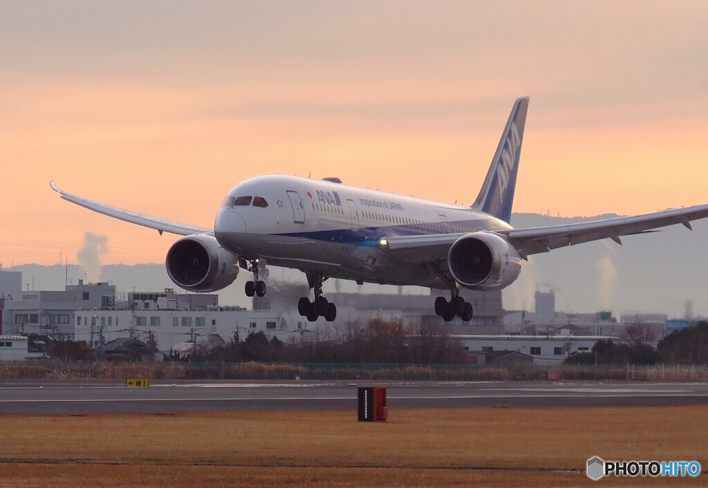 Happy Flight✈ Dreamliner 