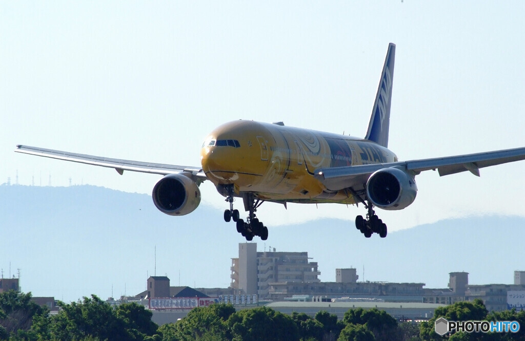 Morning Show✈JA743A