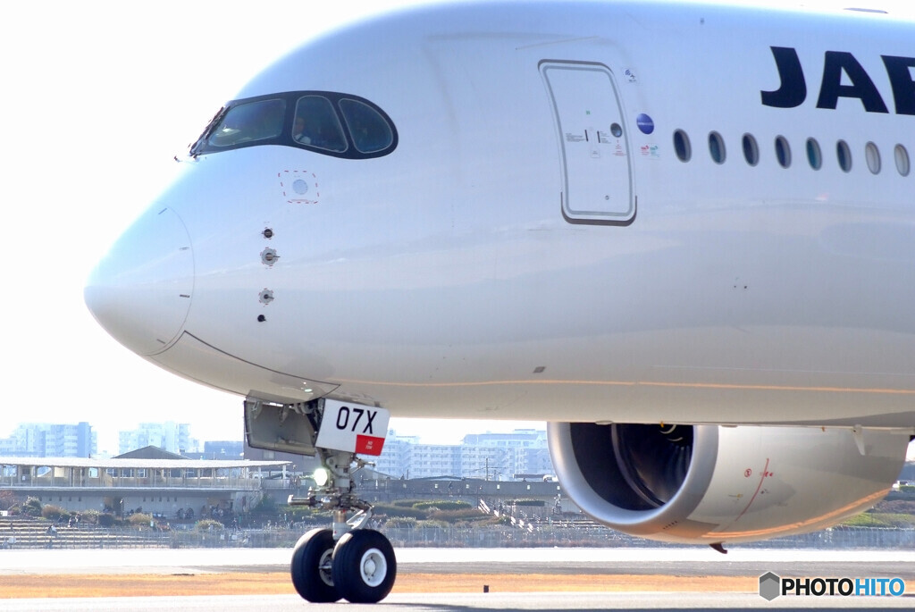 Afternoon of brillianceⅩ✈Airbus350-900