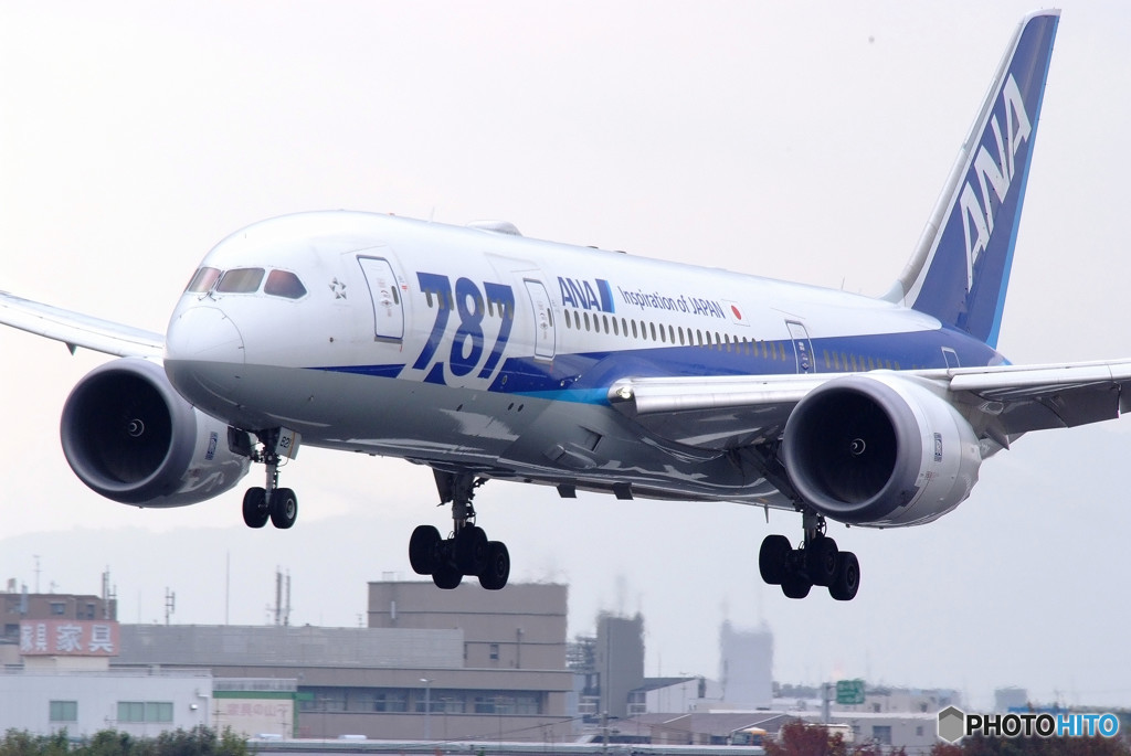 Gift from south・787