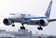 Gift from south・787