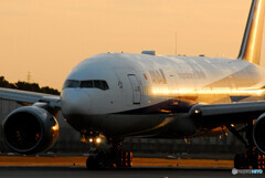 Morning on Saturday✈Boeing 777