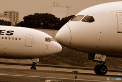 First Love ・６&８