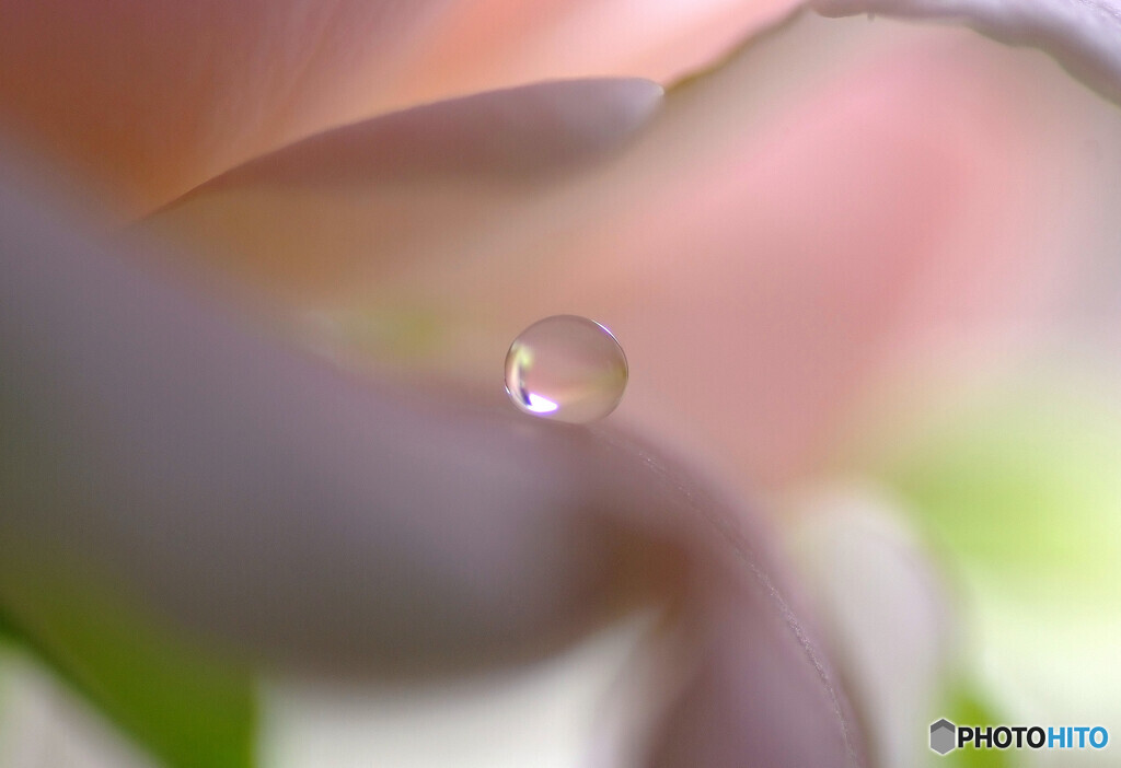 夢先案内人・瞳