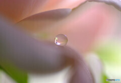 夢先案内人・瞳