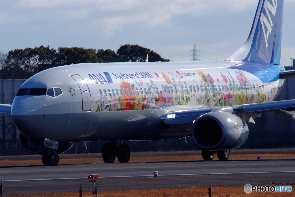 春がきました！JA85AN