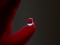 美しき雫たちへⅥ