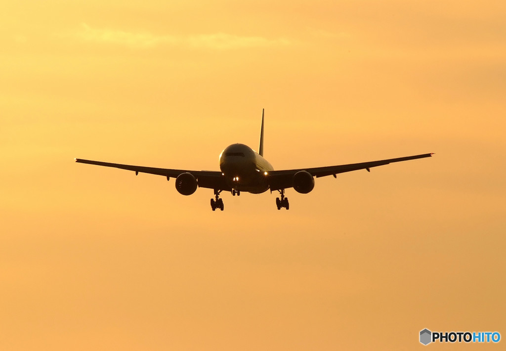 Gift from southⅢ・777