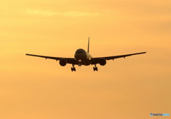 Gift from southⅢ・777