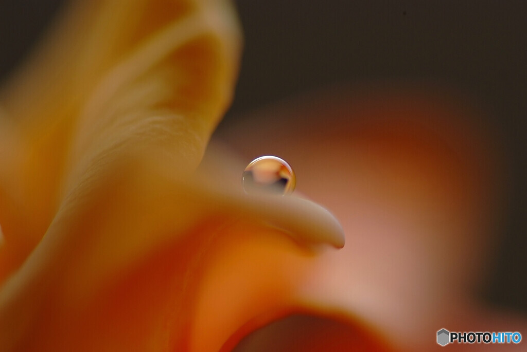 朝の出会いⅡ・瞳