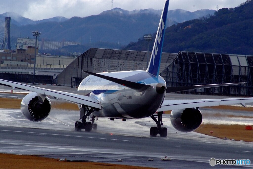 Nice AfternoonⅥ★ANA Boeing 787-8