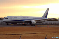 January TravelerⅢ★Boeing 787-9