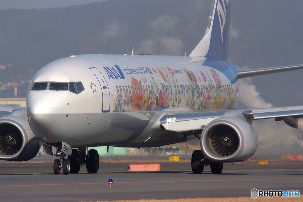 弥生の華・Boeing 737