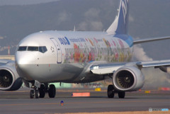 弥生の華・Boeing 737