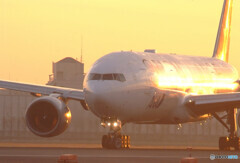 熱き心に・Star Alliance 