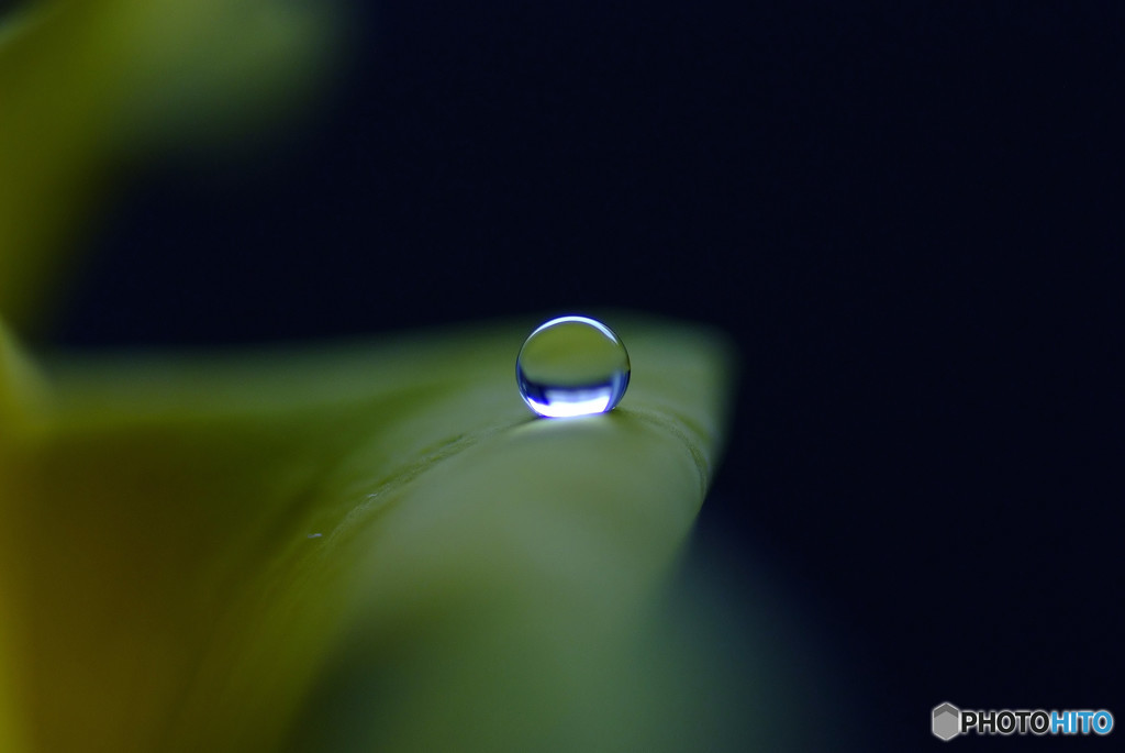 12月の雫・まごころ