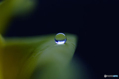 12月の雫・まごころ 12月の雫・まごころ