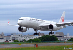 Dream Come True✈翔