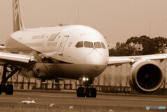 Again at this Place✈787