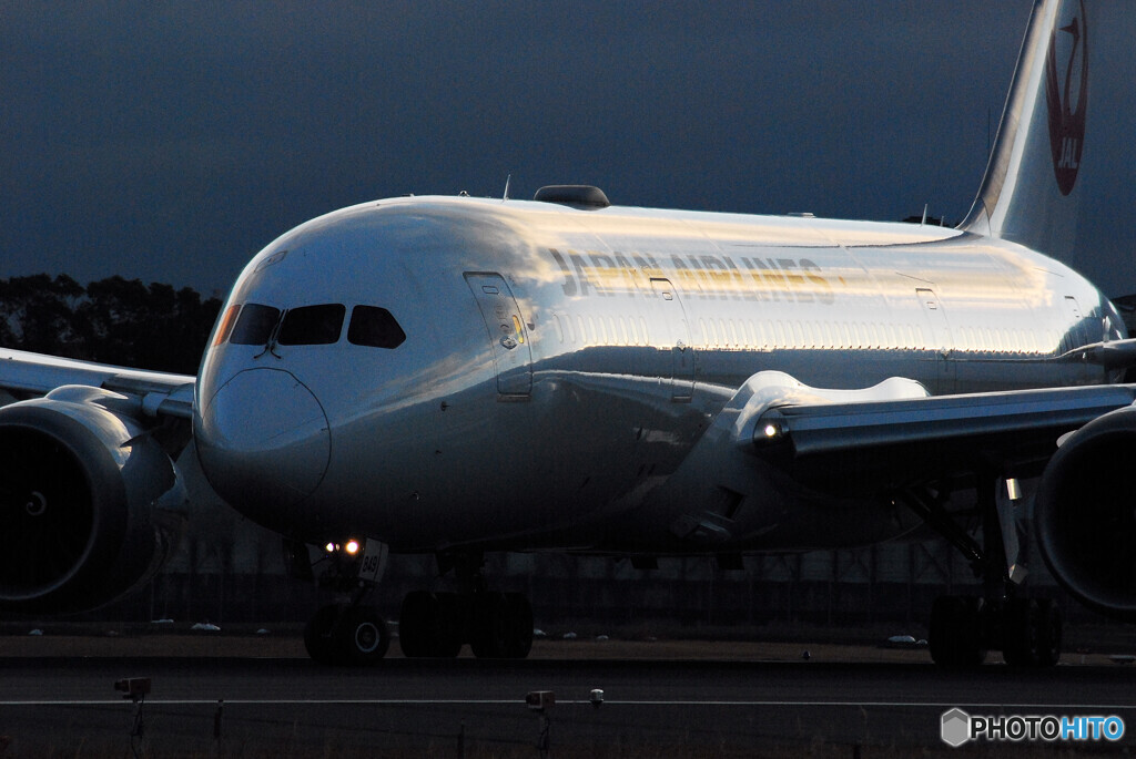 Christmas WingsⅡ✈Boeing 787-8
