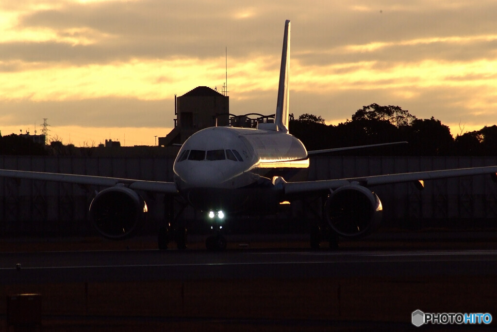 SKYLANDの朝Ⅱ✈A320-200