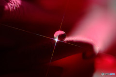 光りの十字架・雫