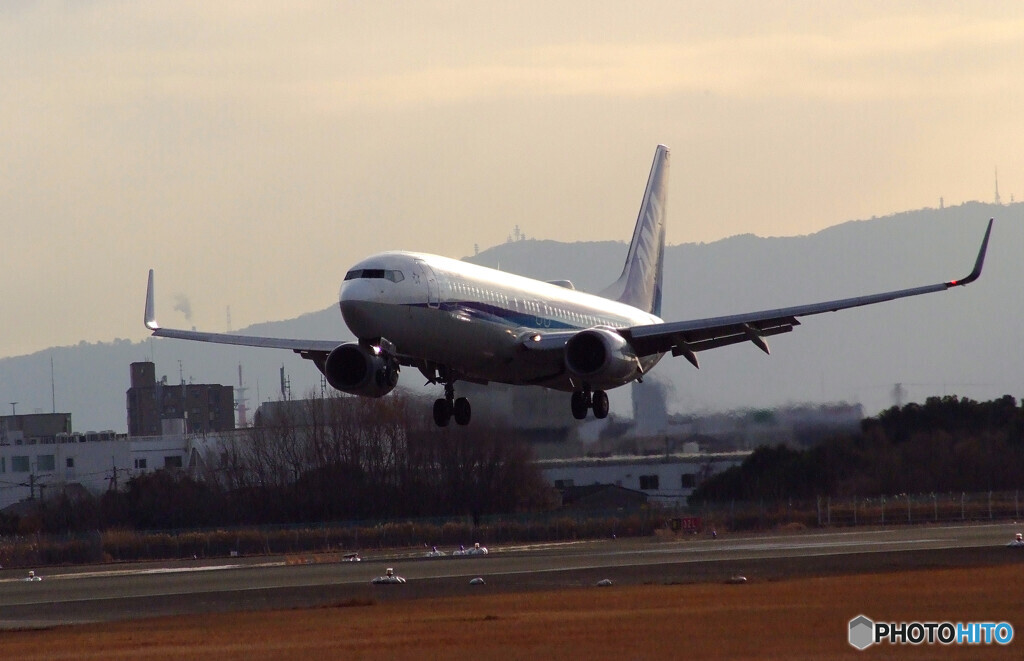 翼を広げて✈Boeing 737-800