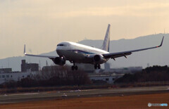翼を広げて✈Boeing 737-800