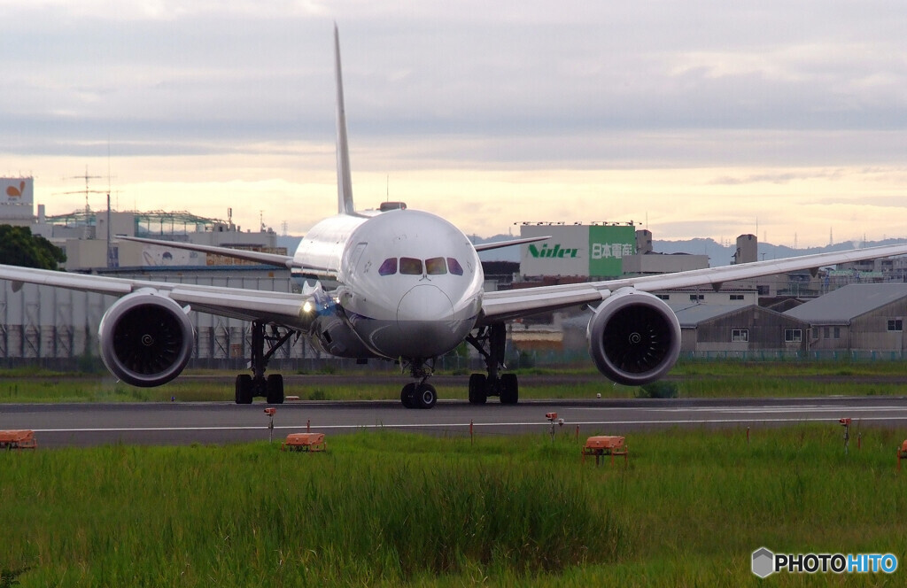 癒しの時間✈787Dreamliner